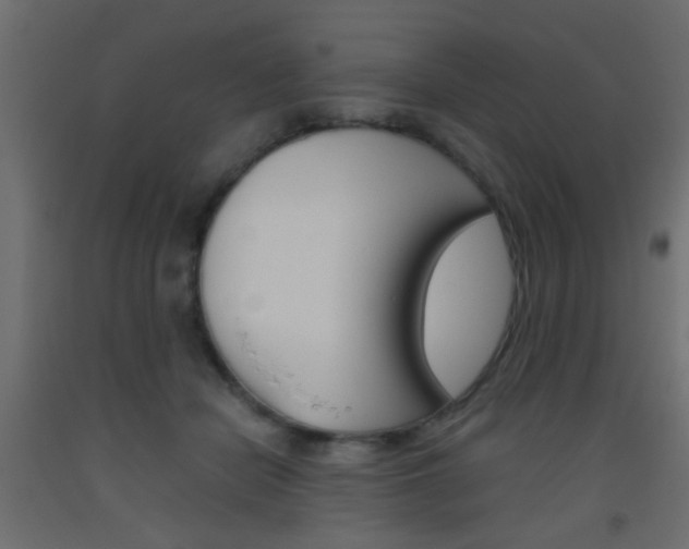 X0000093440462200710120949