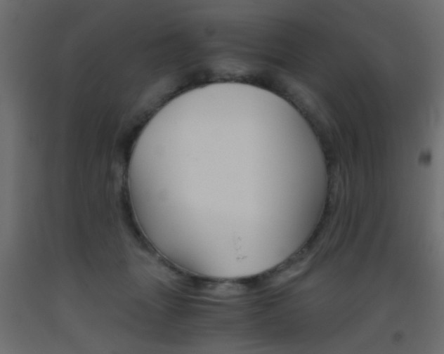 X0000093440463200710120949