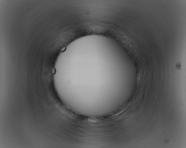 X0000093440464200710120949