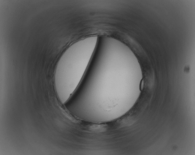 X0000093440465200710120949