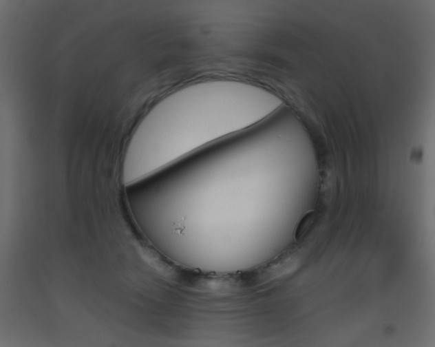 X0000093440466200710120949