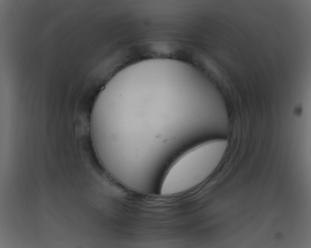 X0000093440467200710120949
