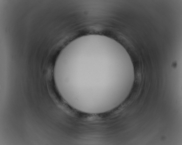 X0000093440468200710120949