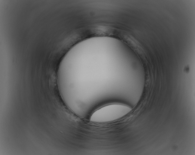 X0000093440469200710120949