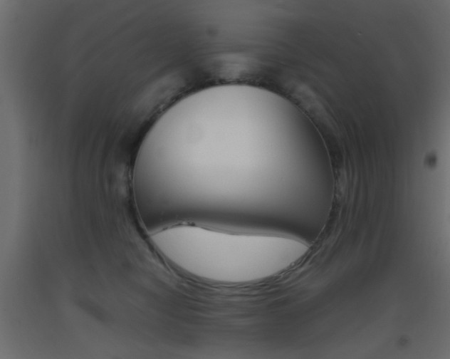 X0000093440470200710120949