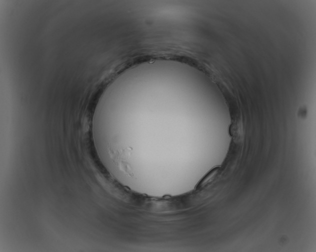 X0000093440472200710120949
