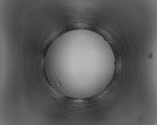 X0000093440473200710120949