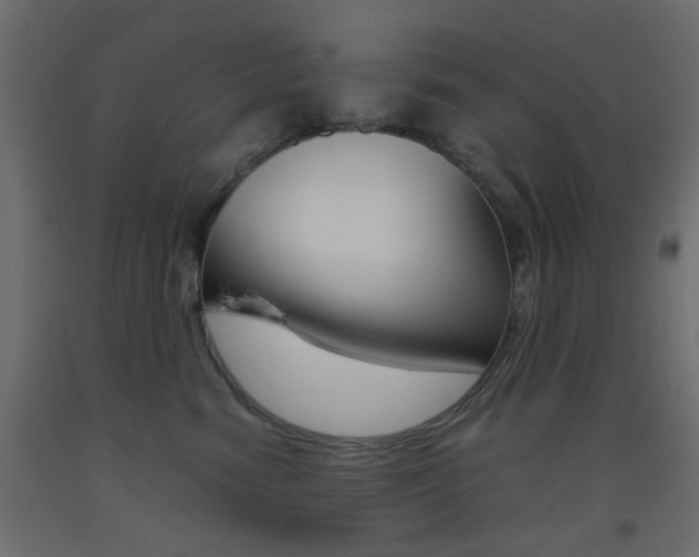 X0000093440474200710120949