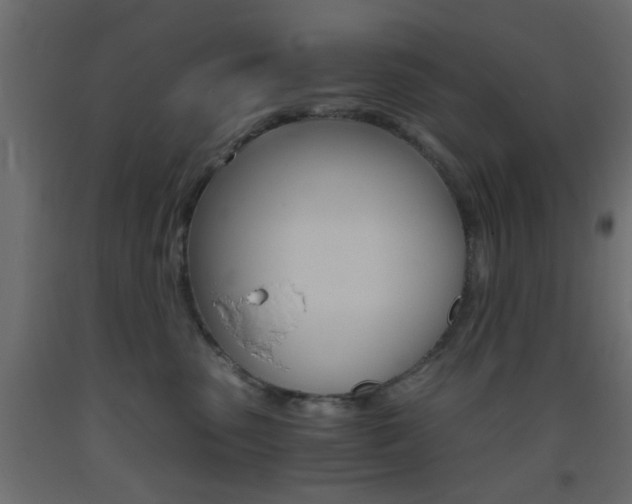 X0000093440475200710120949