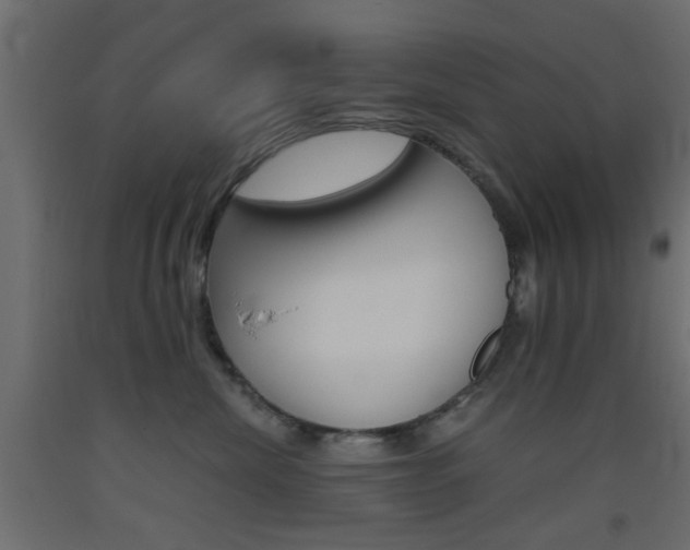 X0000093440476200710120949