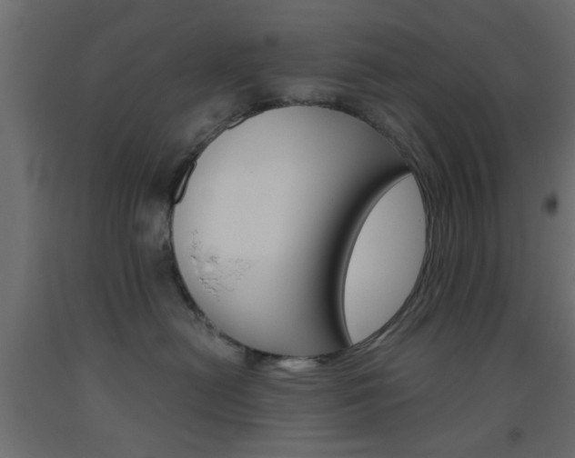 X0000093440478200710120949