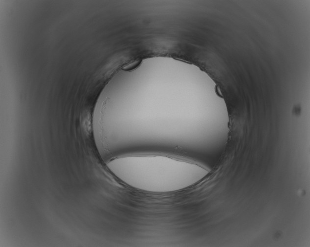 X0000093440479200710120949