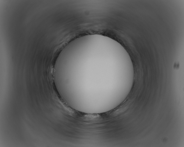 X0000093440480200710120949