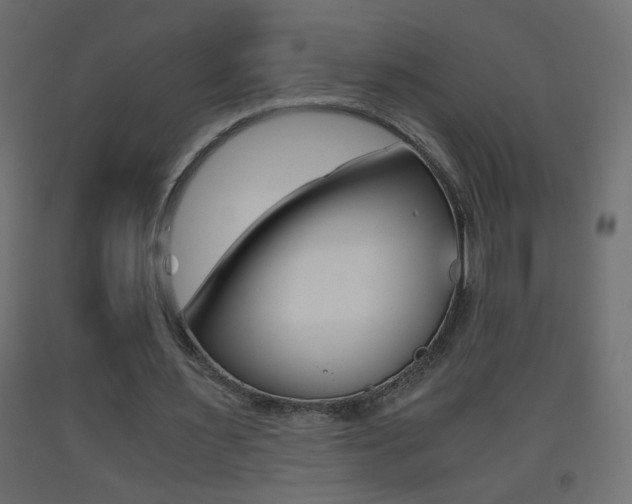 X0000093440483200710120948
