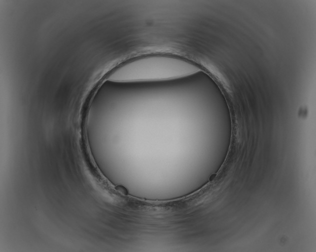 X0000093440486200710120948