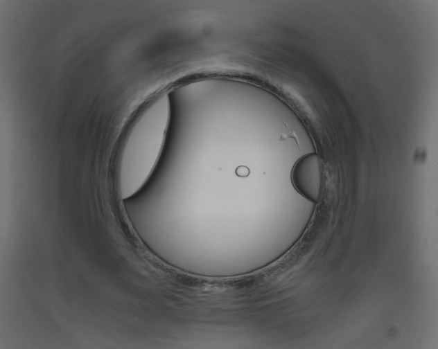 X0000093440487200710120948