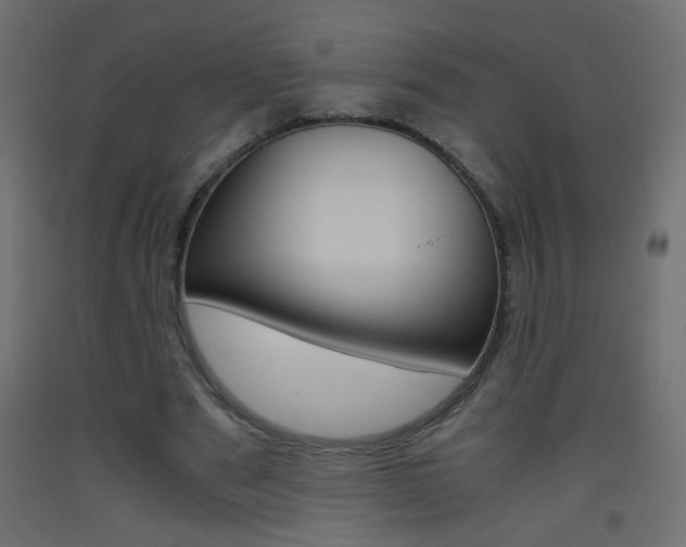 X0000093440489200710120948