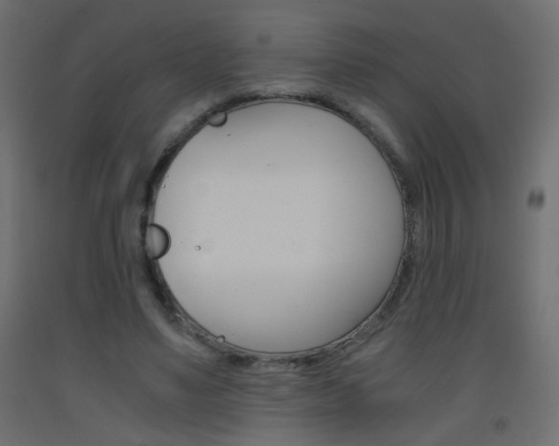 X0000093440491200710120948