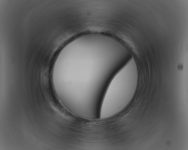 X0000093440492200710120948