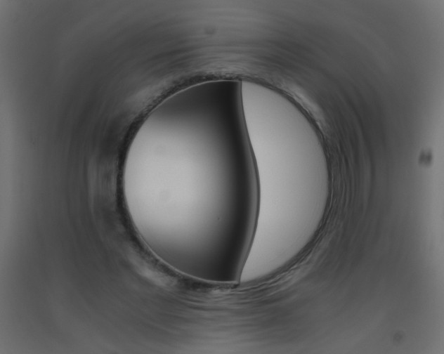 X0000093440493200710120948