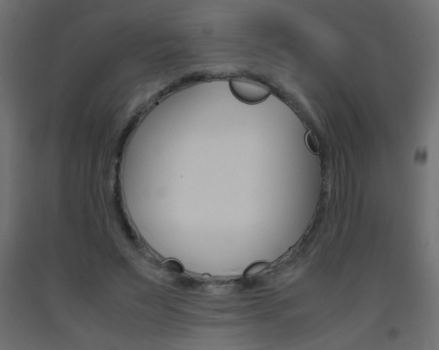 X0000093440495200710120948