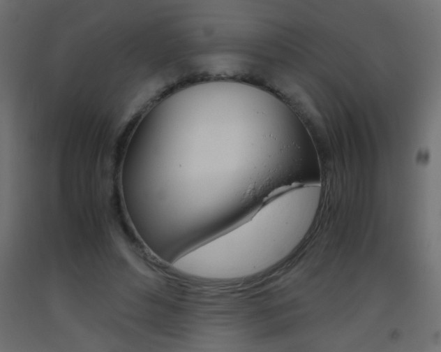 X0000093440496200710120948
