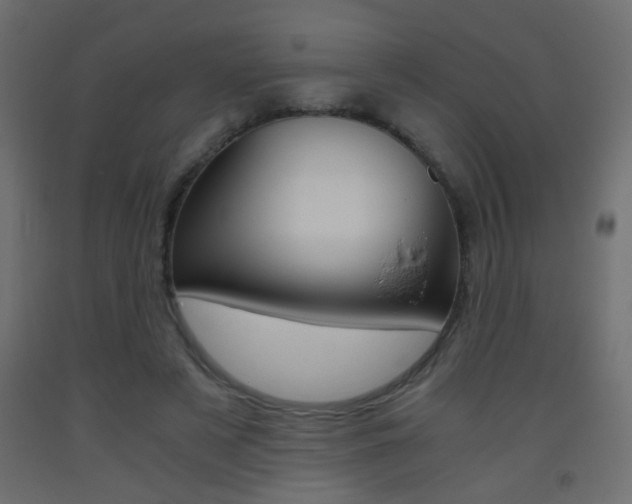 X0000093440497200710120948