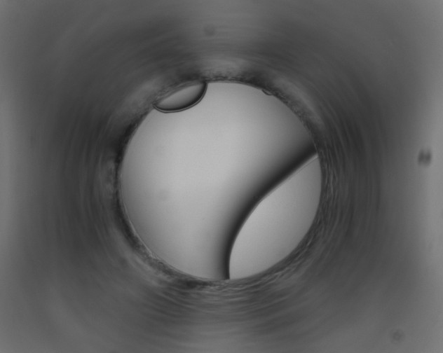X0000093440498200710120948