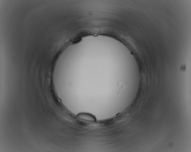 X0000093440499200710120948