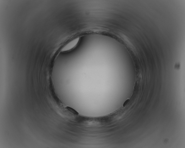 X0000093440500200710120948