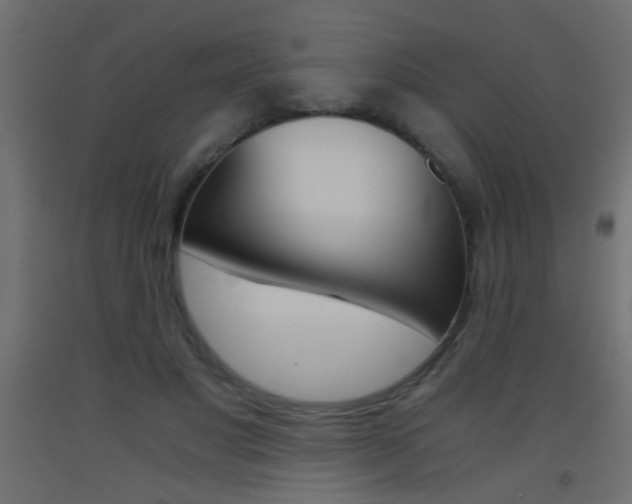 X0000093440501200710120948