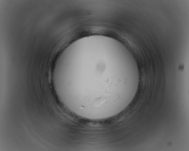 X0000093440502200710120948