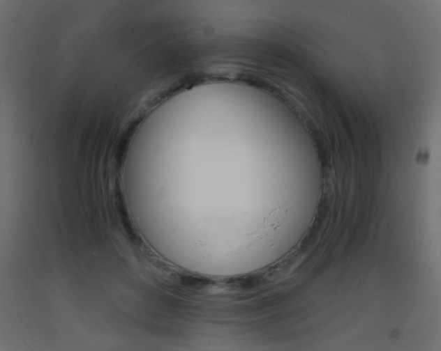 X0000093440504200710120948