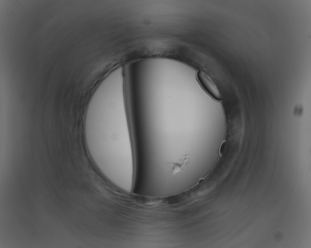X0000093440505200710120948