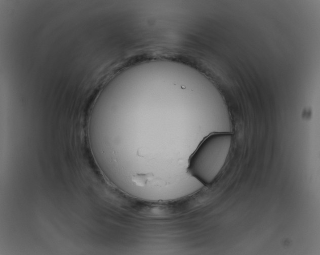 X0000093440506200710120948