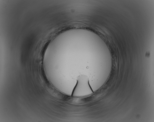 X0000093440507200710120948