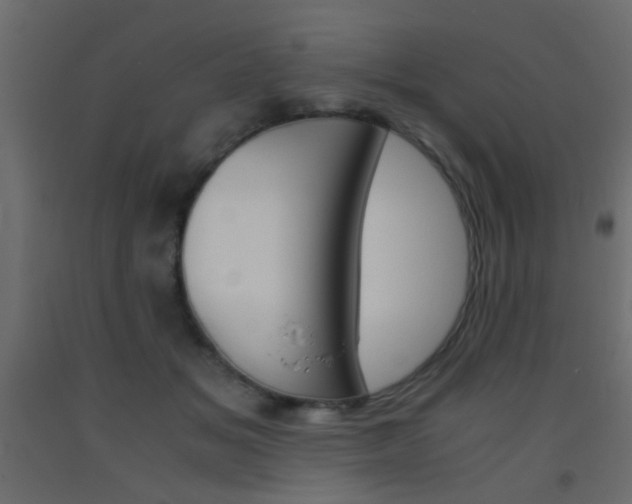 X0000093440509200710120948