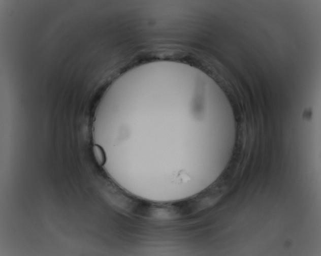 X0000093440510200710120948