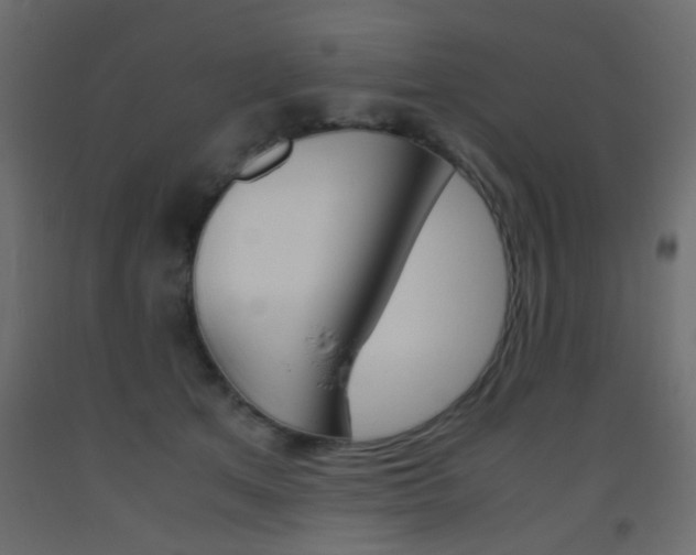 X0000093440513200710120948