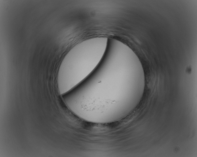X0000093440515200710120948