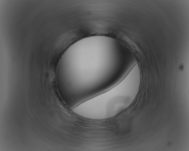 X0000093440517200710120948