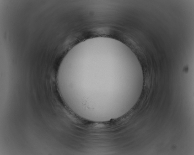 X0000093440518200710120948