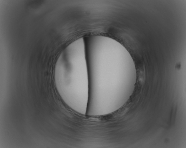 X0000093440519200710120948