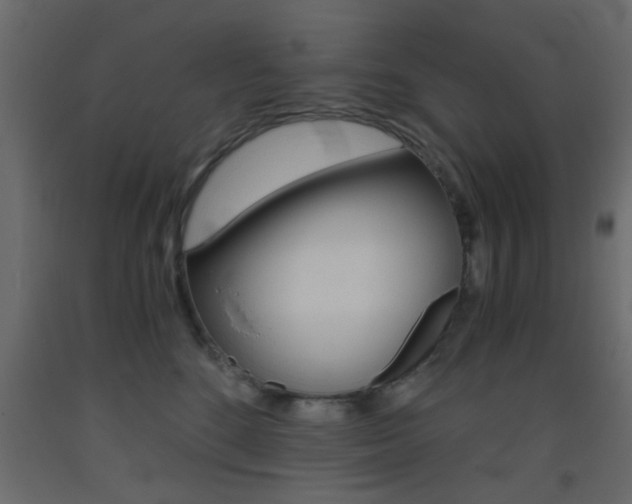 X0000093440520200710120948