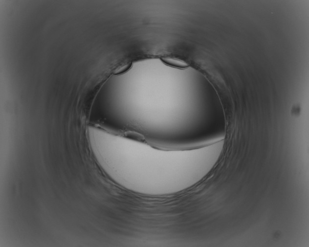 X0000093440521200710120948