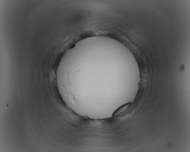 X0000093440523200710120948
