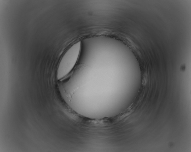 X0000093440524200710120948