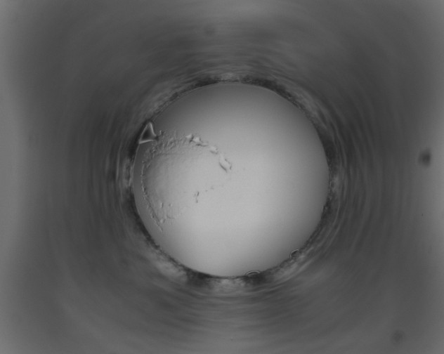 X0000093440525200710120948