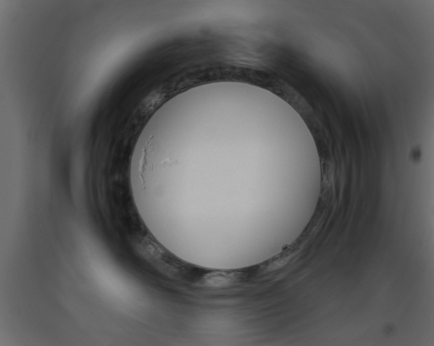 X0000093440526200710120948