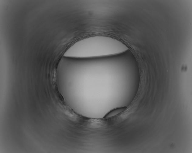 X0000093440528200710120948